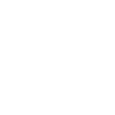 Made in ny